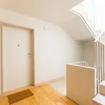 Apartment Clerigos Tower - Experience In *