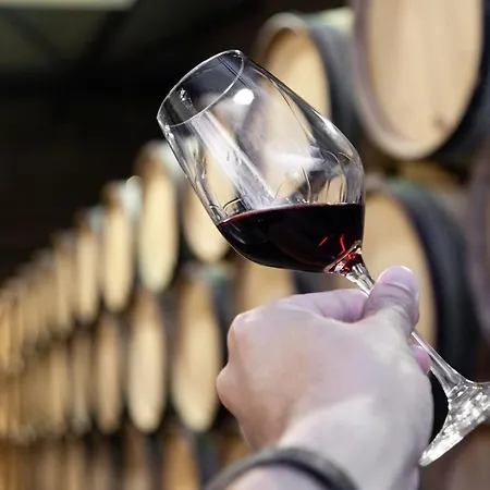 Lägenhet Clerigos Tower - Experience In Oporto